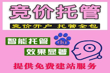百度竞价托管运营成功案例解析
